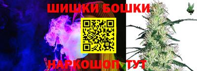 соль ск Обь