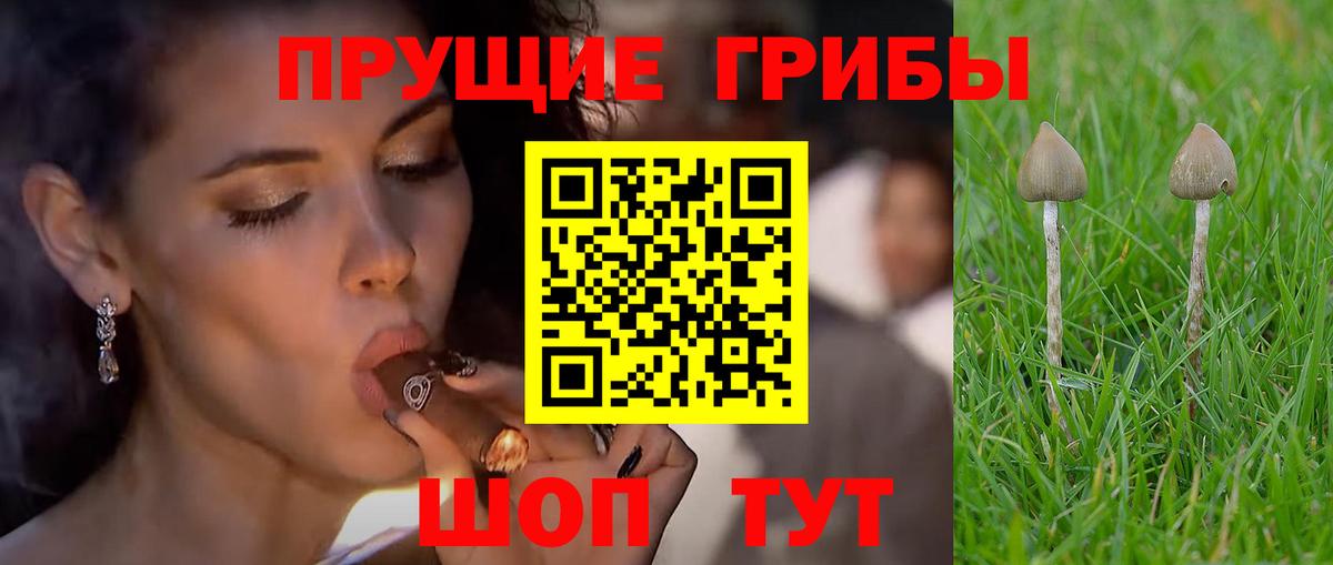 Псилоцибиновые грибы ЛСД  Вход с VPN  Северобайкальск 